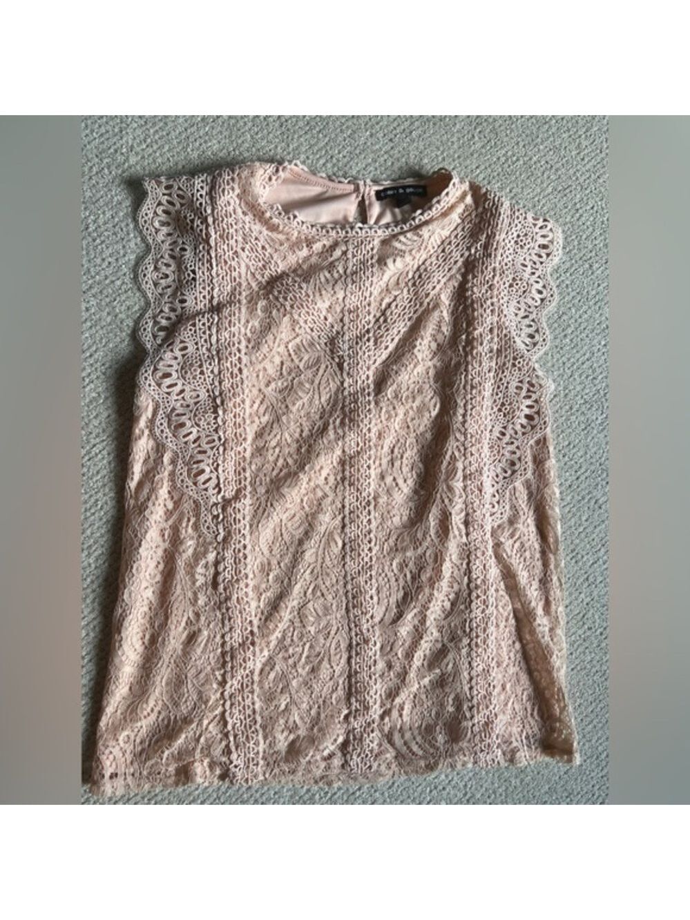 Cable & Gauge Pink Lace Sleeveless Cap Sleeve Blouse Large